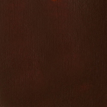 Grand échantillon de couleur Liquitex BASICS Fluid, Terre d'Ombre Brûlée