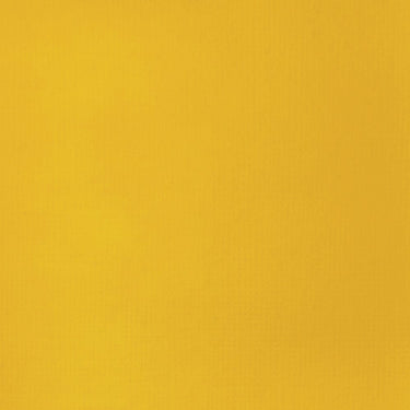 Grand échantillon de couleur Liquitex BASICS Fluid, Jaune de Cadmium Foncé Imitation