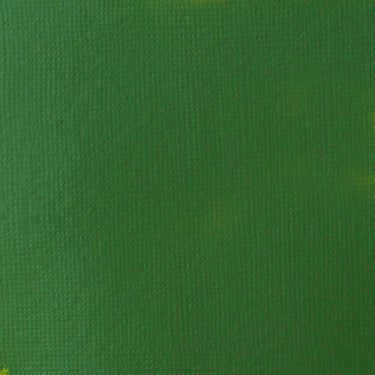 Grand échantillon de couleur Liquitex BASICS Fluid, Vert de Hooker Permanent Imitation