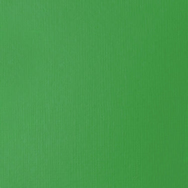 Grand échantillon de couleur Liquitex BASICS Fluid, Vert Clair Permanent