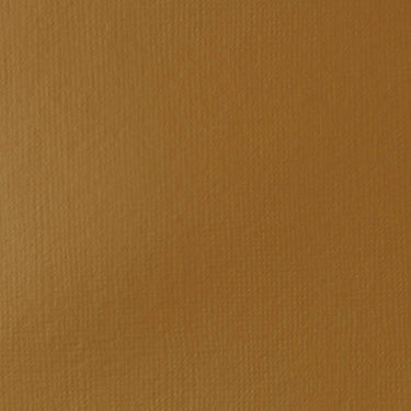 Grand échantillon de couleur Liquitex BASICS Fluid, Terre de Sienne Naturelle