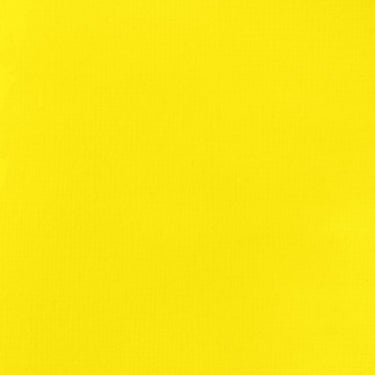 Grand échantillon de couleur Liquitex BASICS Fluid, Jaune Primaire