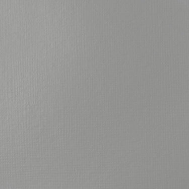 Grand échantillon de couleur Liquitex BASICS Fluid, Gris neutre 5