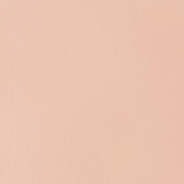 Grand échantillon de couleur Liquitex BASICS Fluid, Rose Clair