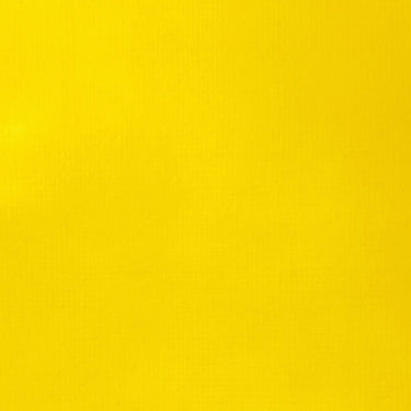 Grand échantillon de couleur Liquitex BASICS Fluid, Jaune de Cadmium Moyen Imitation