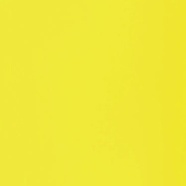 Grand échantillon de couleur Liquitex BASICS Fluid, Jaune Fluorescent