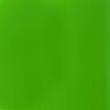 Grand échantillon de couleur Liquitex BASICS Fluid, Vert Fluorescent