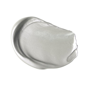 PETIT Échantillon de couleur de Liquitex Acrylique Basics, Argent Sur Fond Blanc