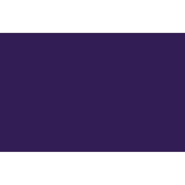 ÉCHANTILLON DE couleur de PEINTURE EN AÉROSOL Liquitex Violet Dioxazine