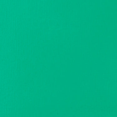 Grand échantillon de couleur Acrylique Gouache, Vert d'Eau Éclatant
