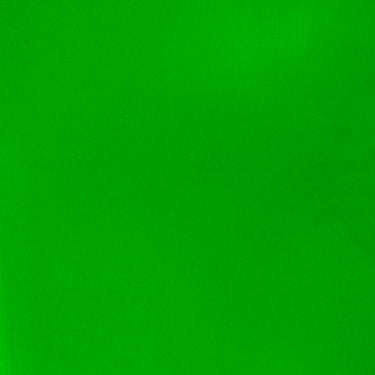 Grand échantillon de couleur Acrylique Gouache, Vert Fluorescent