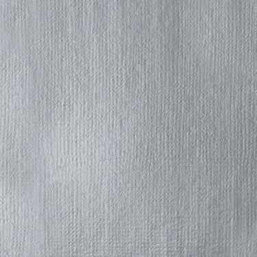 Grand échantillon de couleur Acrylique Gouache, Argent Éclatant Iridescent