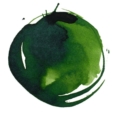 TACHE D'ENCRE Acryliques Liquitex extra-fines, Vert de Vessie Permanent