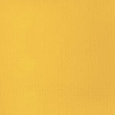 Grand échantillon de couleur Liquitex BASICS, Jaune de Cadmium Foncé Imitation
