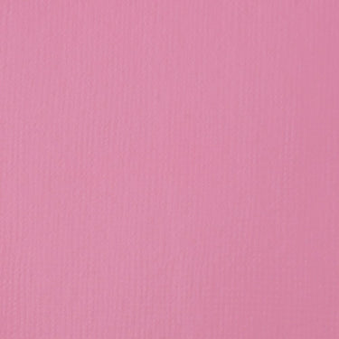 Grand échantillon de couleur Liquitex BASICS, Rose