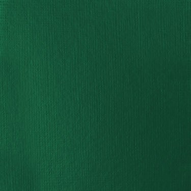 Grand échantillon de couleur Liquitex BASICS, Vert Foncé Permanent
