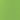 Grand échantillon de couleur Liquitex BASICS, Vert Citron