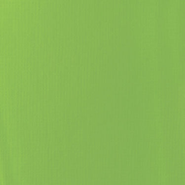 Grand échantillon de couleur Liquitex BASICS, Vert Citron