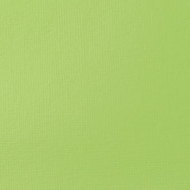 Grand échantillon de couleur Liquitex BASICS, Vert Jaune Éclatant