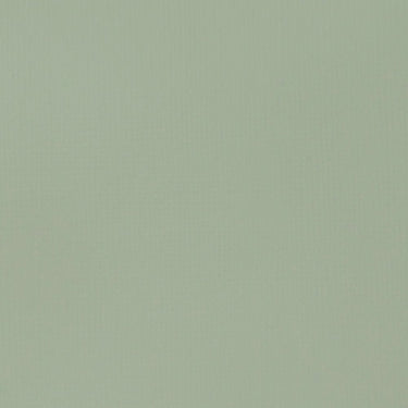 Grand échantillon de couleur Liquitex BASICS, Gris Vert