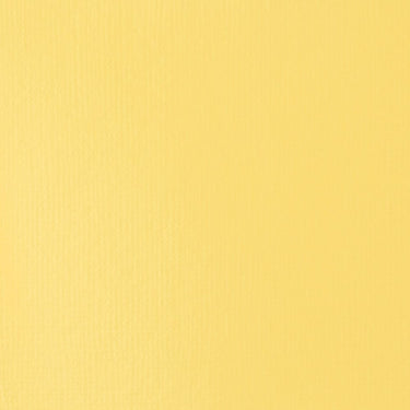 Grand échantillon de couleur Liquitex BASICS, Jaune de Naples Imitation