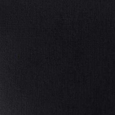 Grand échantillon de couleur Liquitex BASICS, Noir de Mars