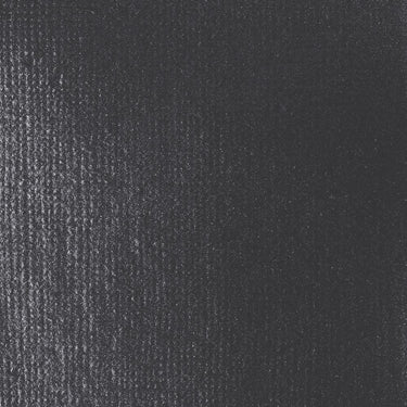 Grand échantillon de couleur Liquitex BASICS, Graphite Iridescent