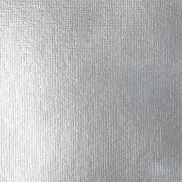 Grand échantillon de couleur Liquitex BASICS, Argent