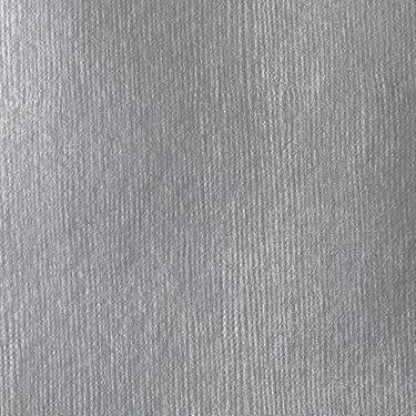 Grand échantillon de couleur Acrylique Soft Body, Argent Riche Iridescent