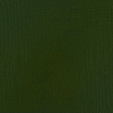 Grand échantillon de couleur Acrylique Soft Body, Vert de Vessie Permanent