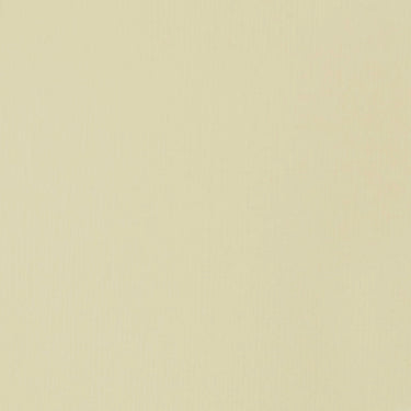 Grand échantillon de couleur Acrylique Soft Body, Parchemin
