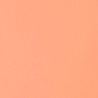 Grand échantillon de couleur Acrylique Soft Body, Rose Clair