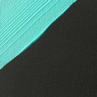 Médiums Professionnels Liquitex - Gesso Colorant Noir (ÉCHANTILLON DU SITE WEB)