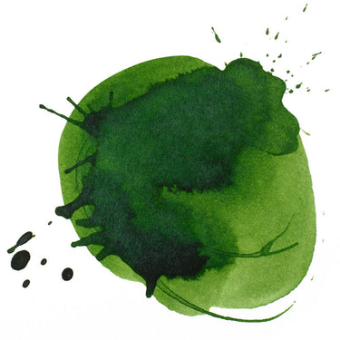échantillon d'encre Vert de Hooker Foncé Permanent Imitation